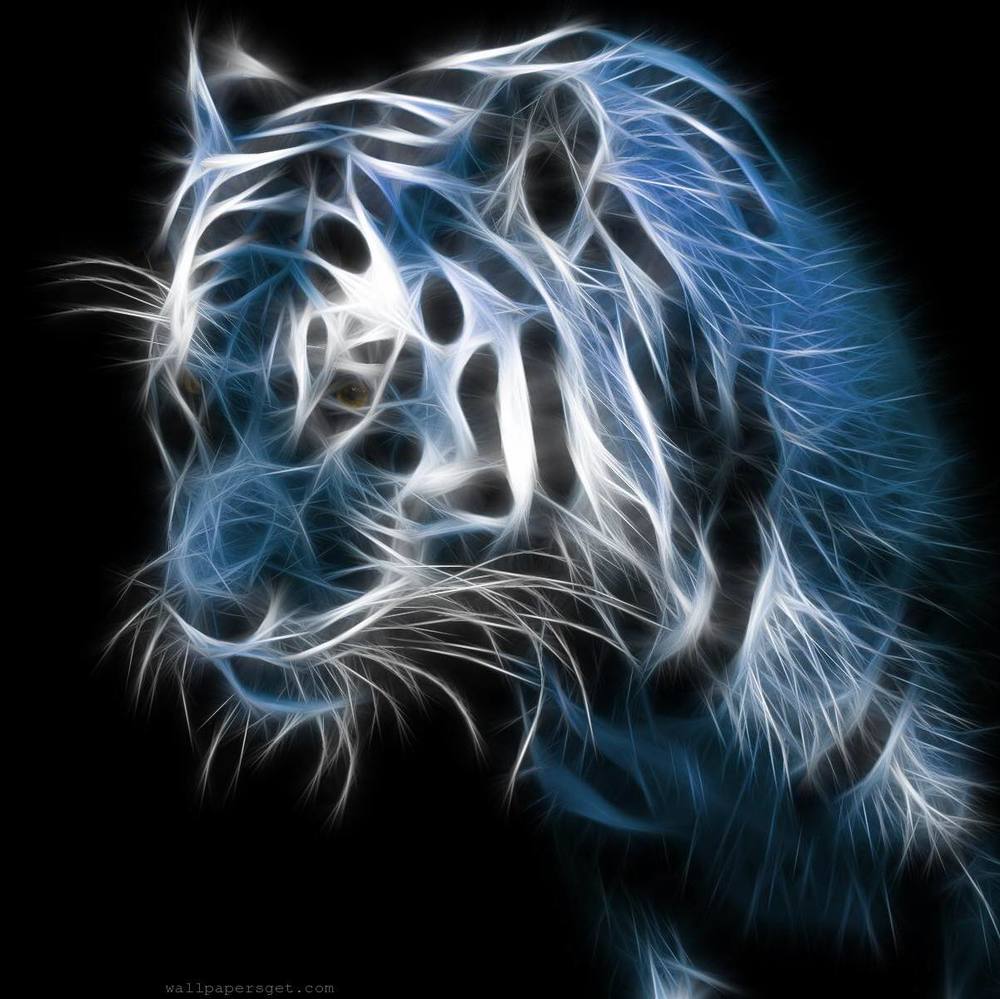 Meet your Posher, Speedy